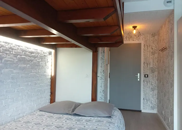 Studio 26m2 proche du lac